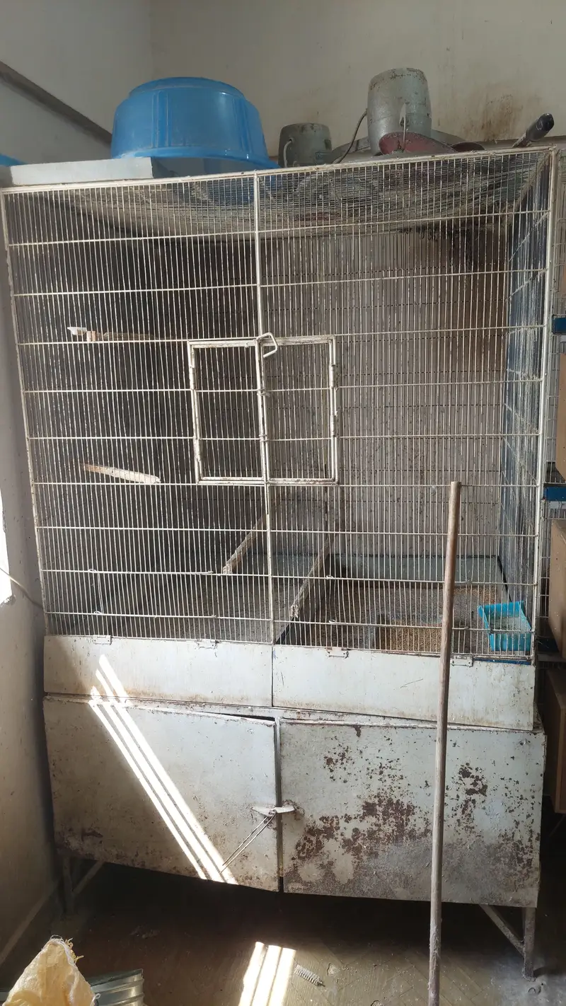Metal used cages for birds (good condition with quality material) — photo 6