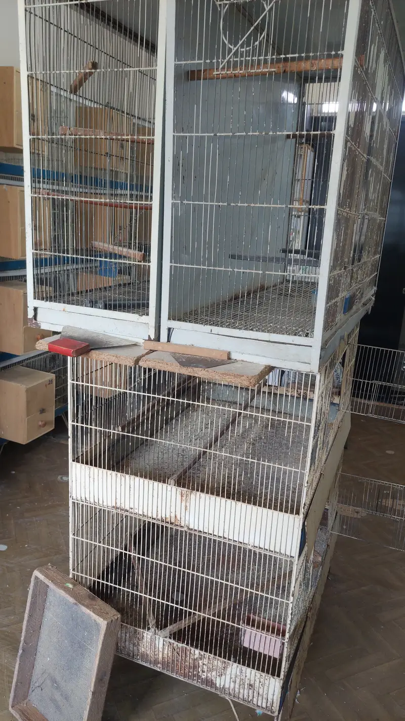 Metal used cages for birds (good condition with quality material) — photo 8