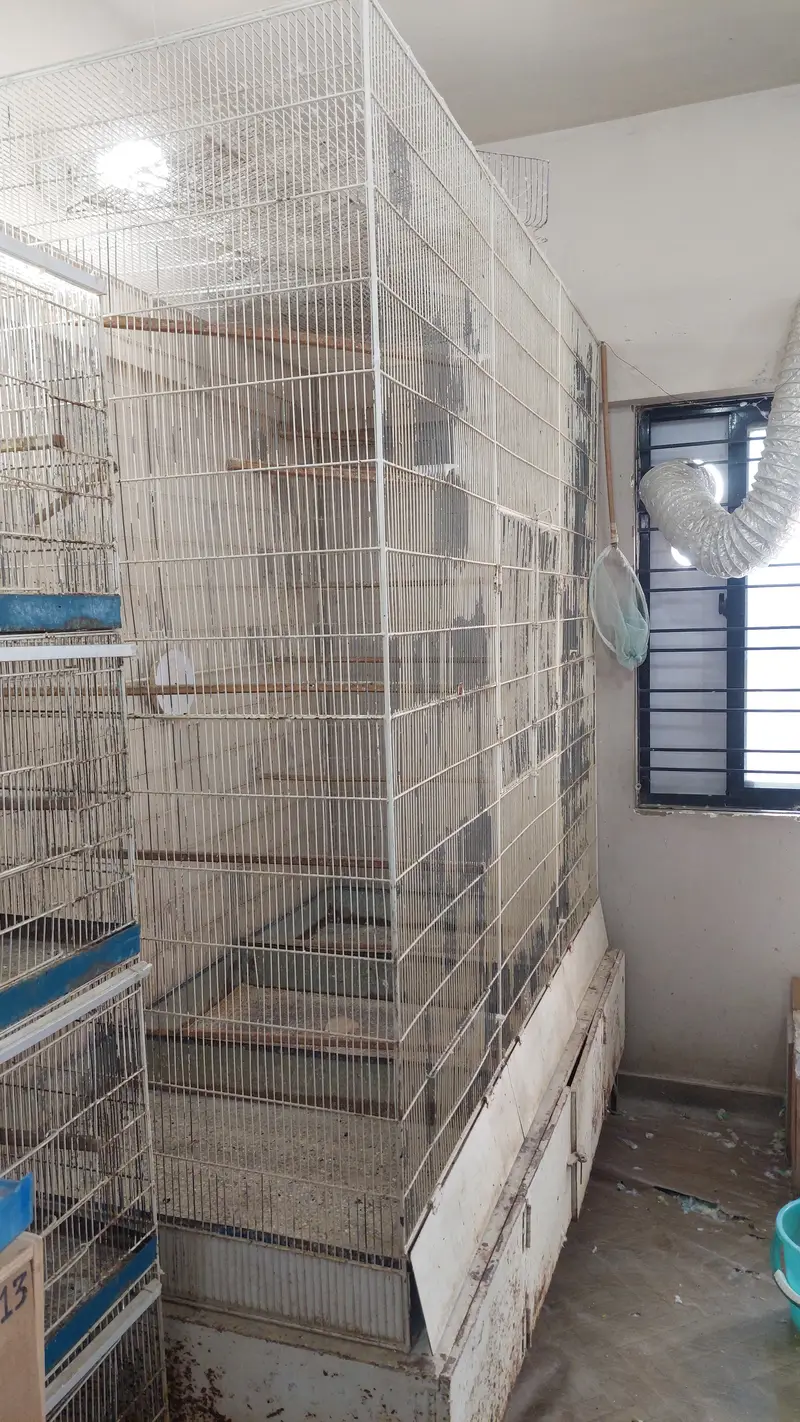 Metal used cages for birds (good condition with quality material) — photo 9