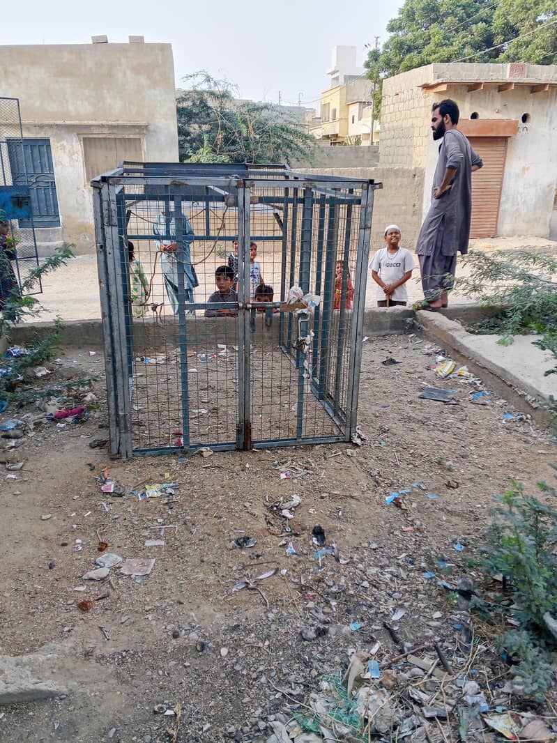 loader chinghi greel 0