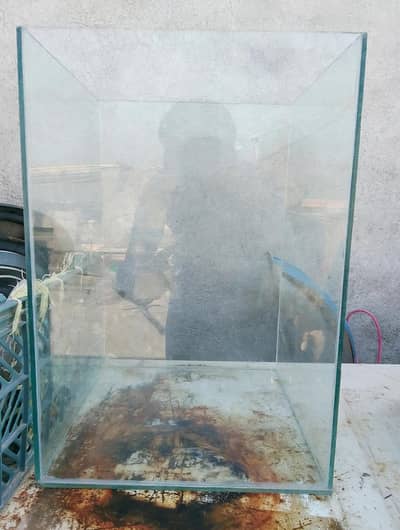 fish aquarium for sale