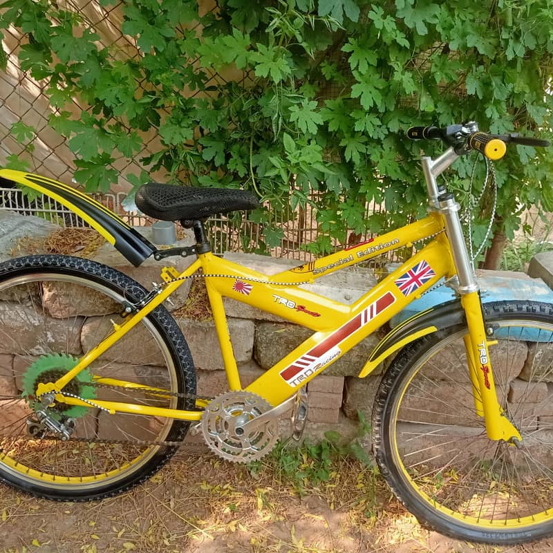 Good condition cycle no work required 1