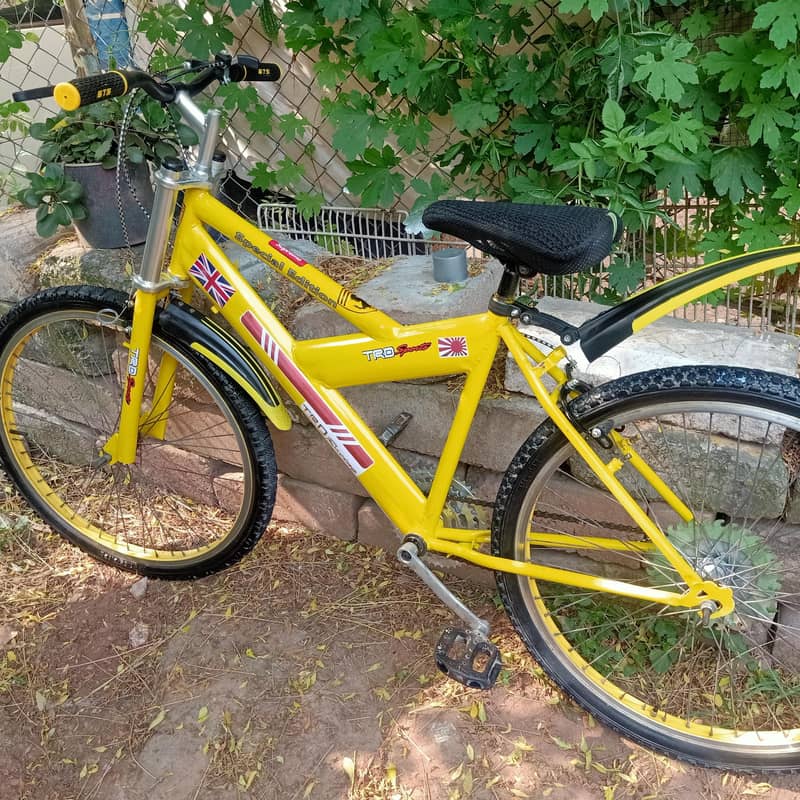 Good condition cycle no work required 14