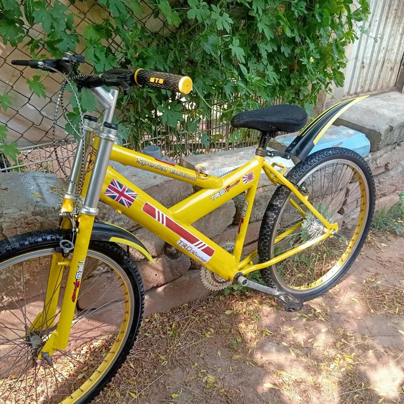 Good condition cycle no work required 15