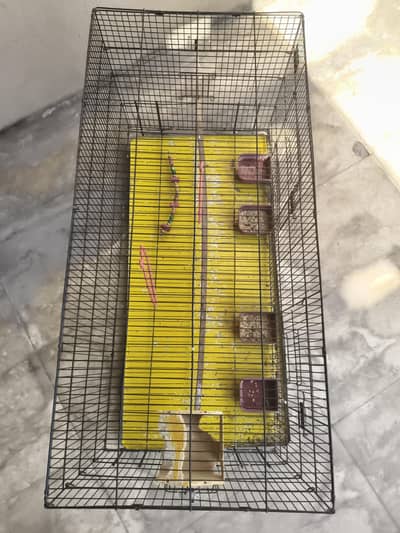 4 ft cage, bought 2 months ago