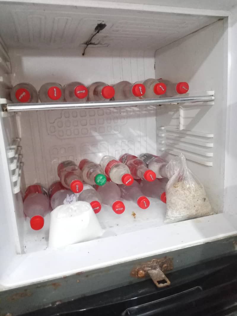Orient fridge 5