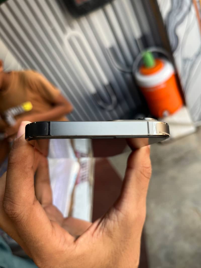 Apple iPhone 13 Pro Max 2