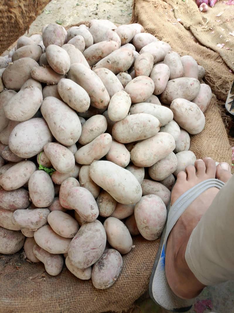 alou  ha 0
