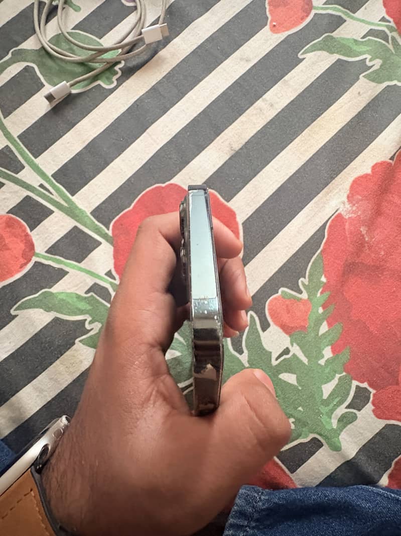 Apple iPhone 13 Pro Max 1