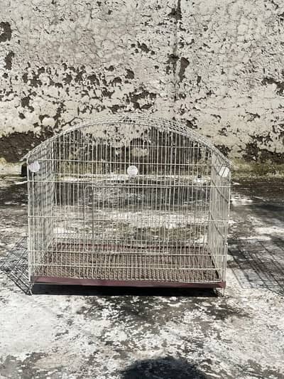parrots and cages for sell