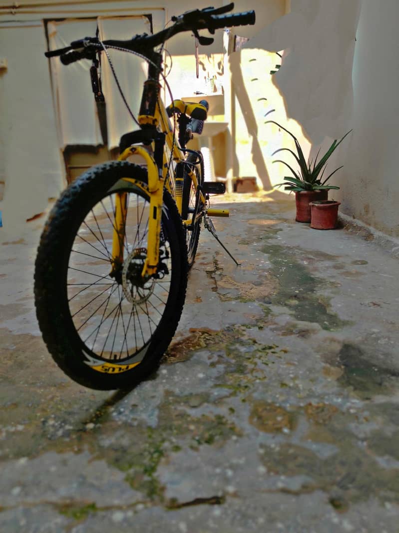 bicycle 1