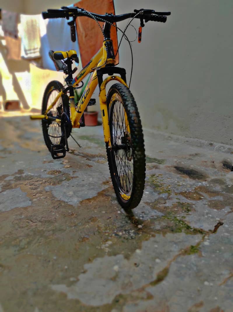 bicycle 2