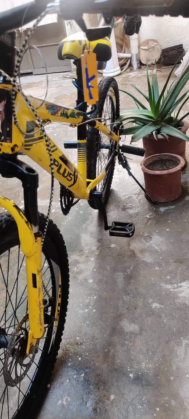 bicycle 5