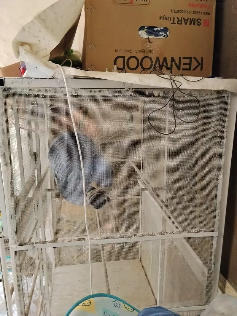 Full metal cage || 2 door and 2 portions cage || For all type of birds — photo 3