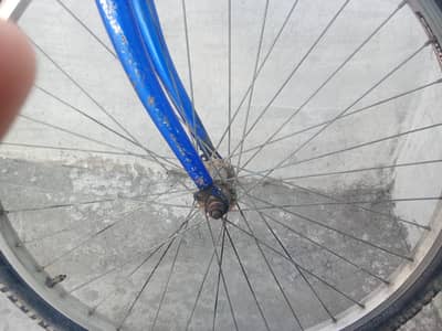cycle