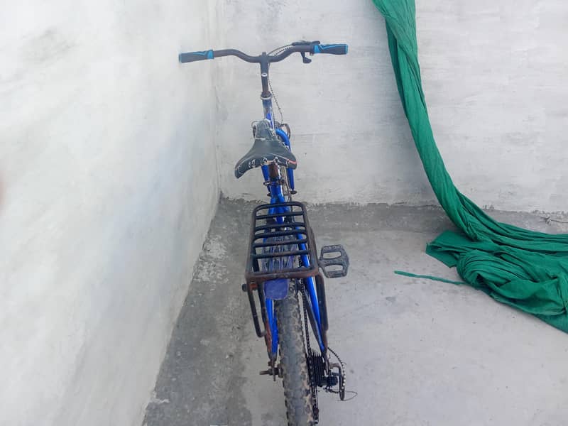 cycle 3