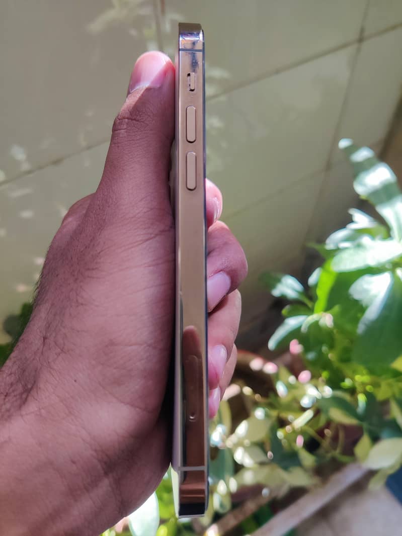 iPhone 12 Pro | sim working 2