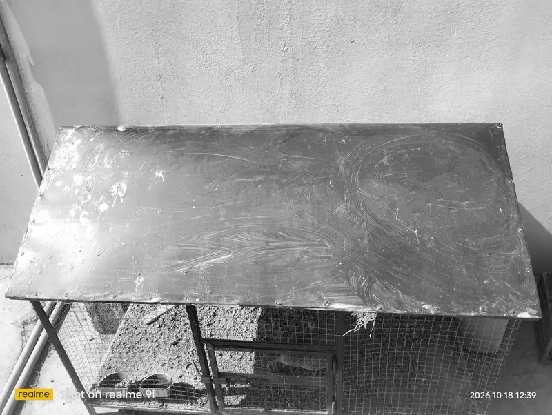 Hen and other birds cage — photo 8