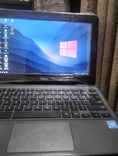 Dell 3100 choromebook