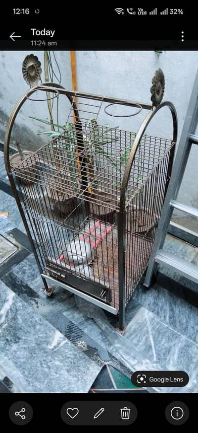 birds cage