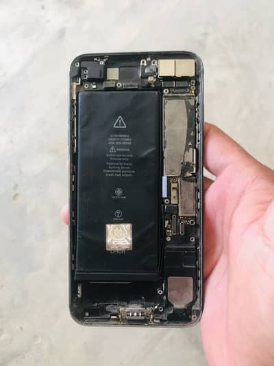 Apple iPhone 7 Plus