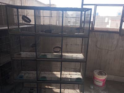 12 portion cage