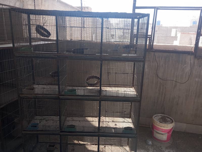 12 portion cage 0