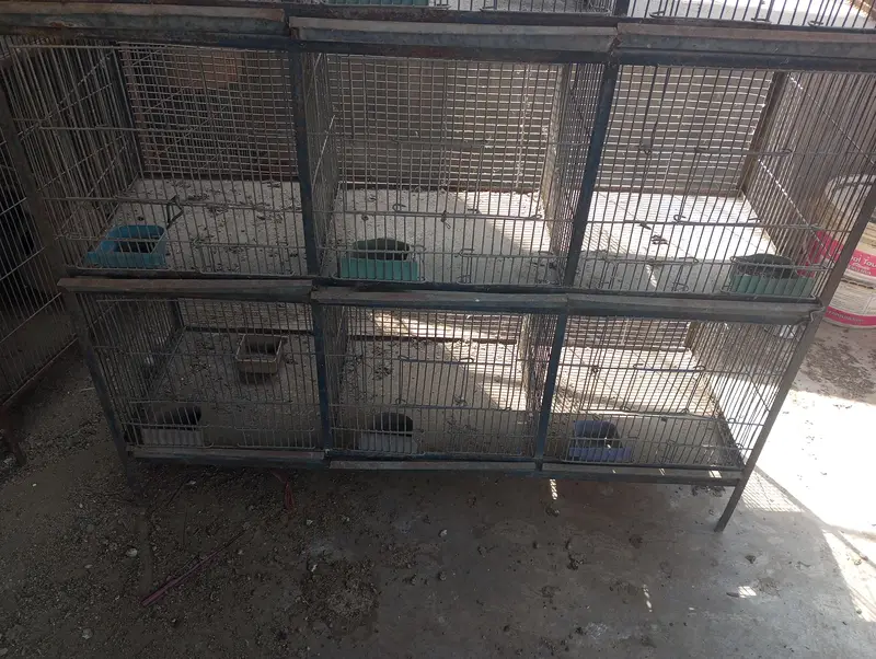 12 portion cage — photo 2