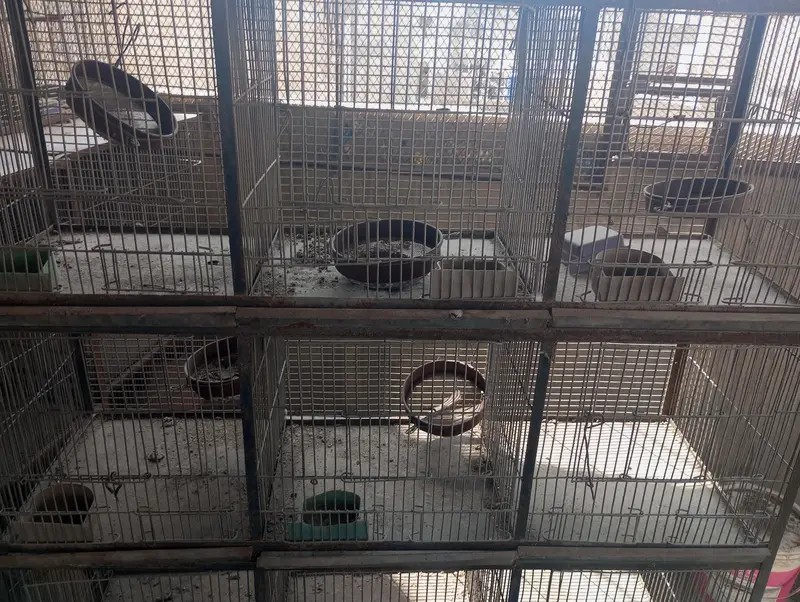12 portion cage — photo 3