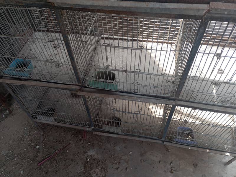 12 portion cage 3