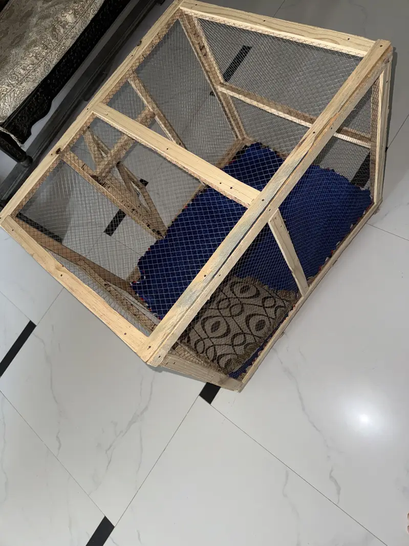 2 foot height hai siki 10/10 condition 7 din phele lia tha just new — photo 2