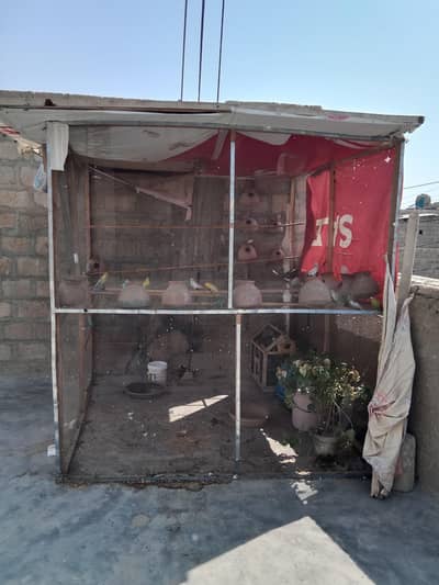 7 By 7 Ka Bara Colony Cage - Budgies Ke Liye - With Roof