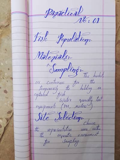 Neat Assignment writing - marker heading  -PDF delivery all Pakistan