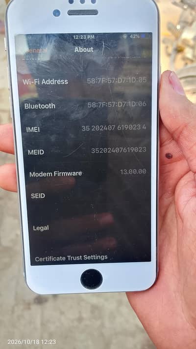 Apple iPhone 6S