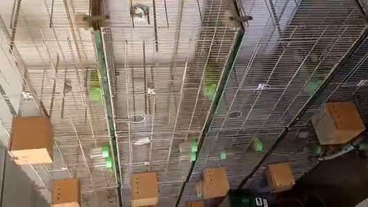 **Bird Cages for Sale! ** just like new