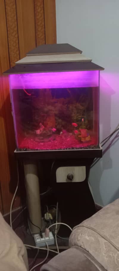 medium length Aquarium  for sale