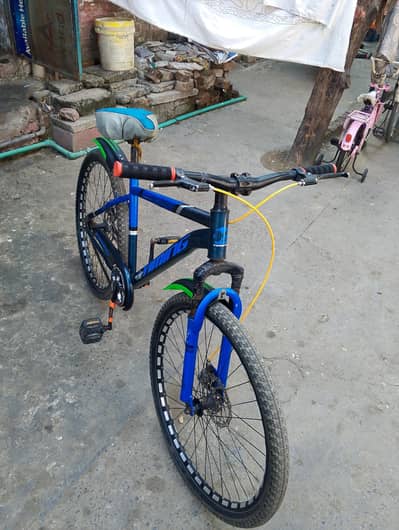 sport cycle