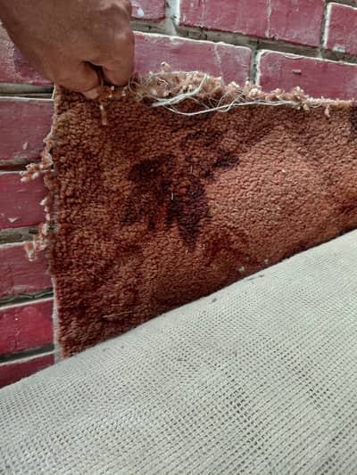 Carpets very limited time used for sell only 2 years