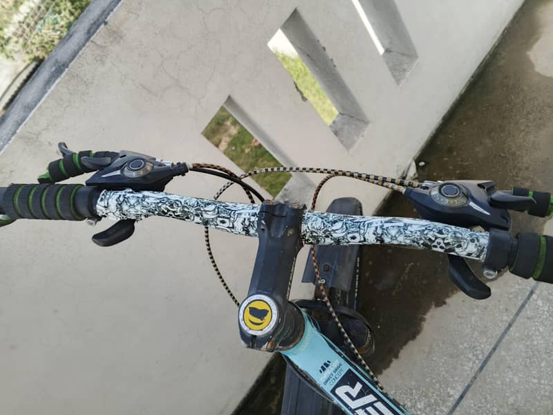 imported bicycle 1