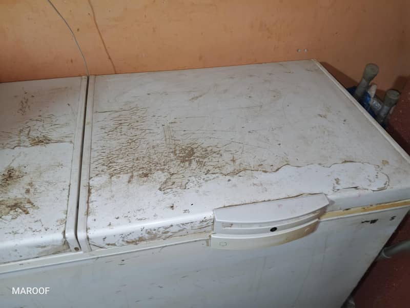 Waves Deep freezer WDF-318 6