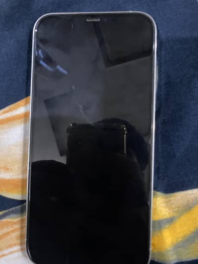 Apple iPhone 12 Pro Max