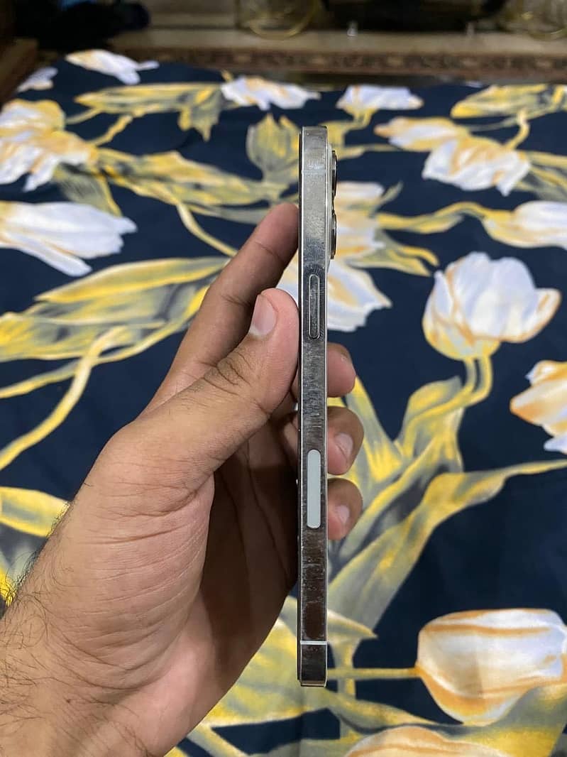 Apple iPhone 12 Pro Max 1