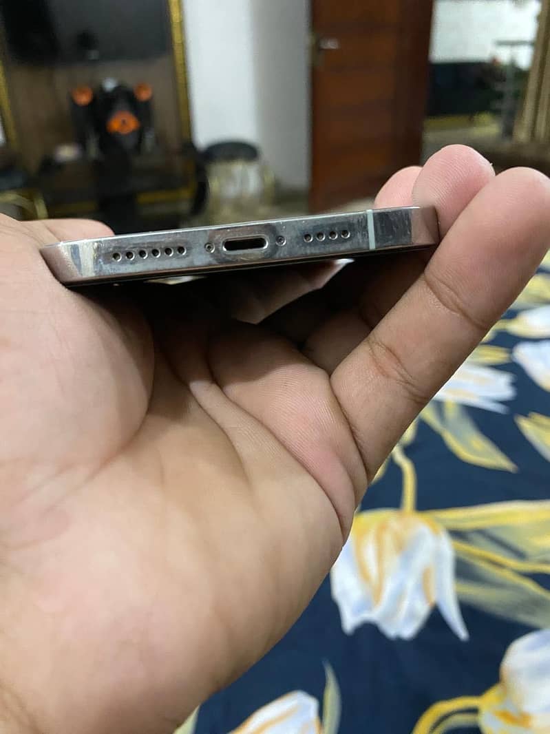 Apple iPhone 12 Pro Max 2