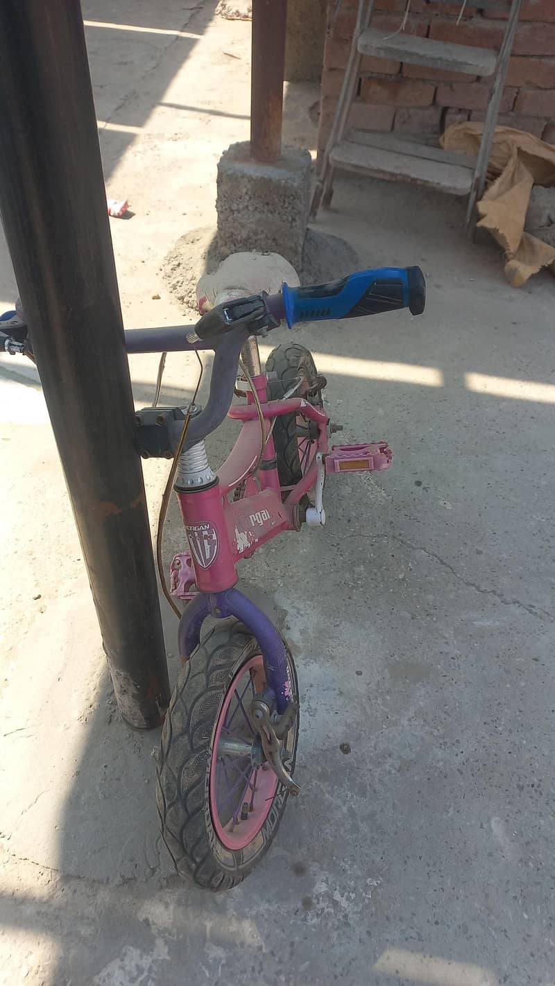 Bicycle (Morgan) 0