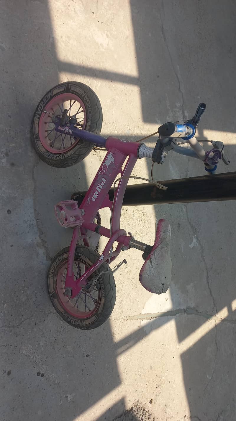 Bicycle (Morgan) 2