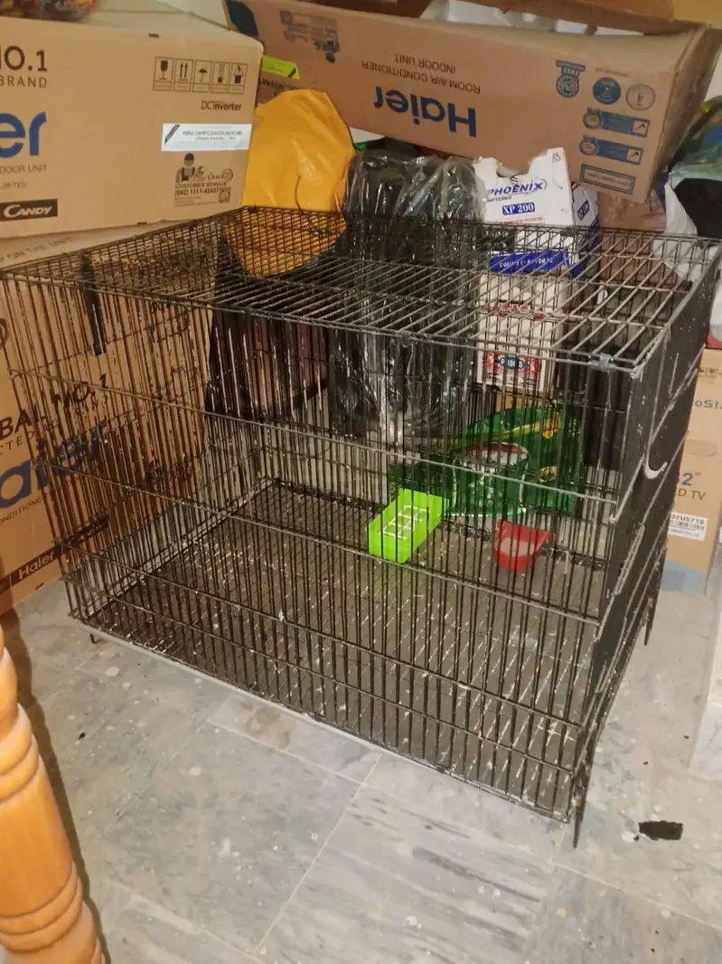 Malik cage for sale new Size 3x2by2 hai 10 number tar Lagi Hui Hai — photo 3