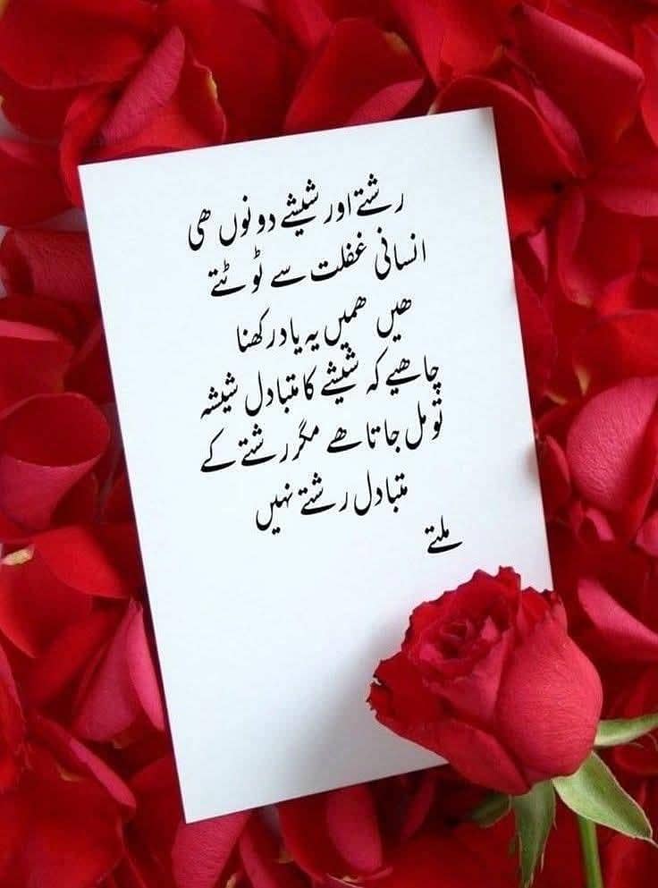 لنگر تقسیم کیلئے خواتین کی ضرورت ہے (تفصیل پڑھ لیں 0