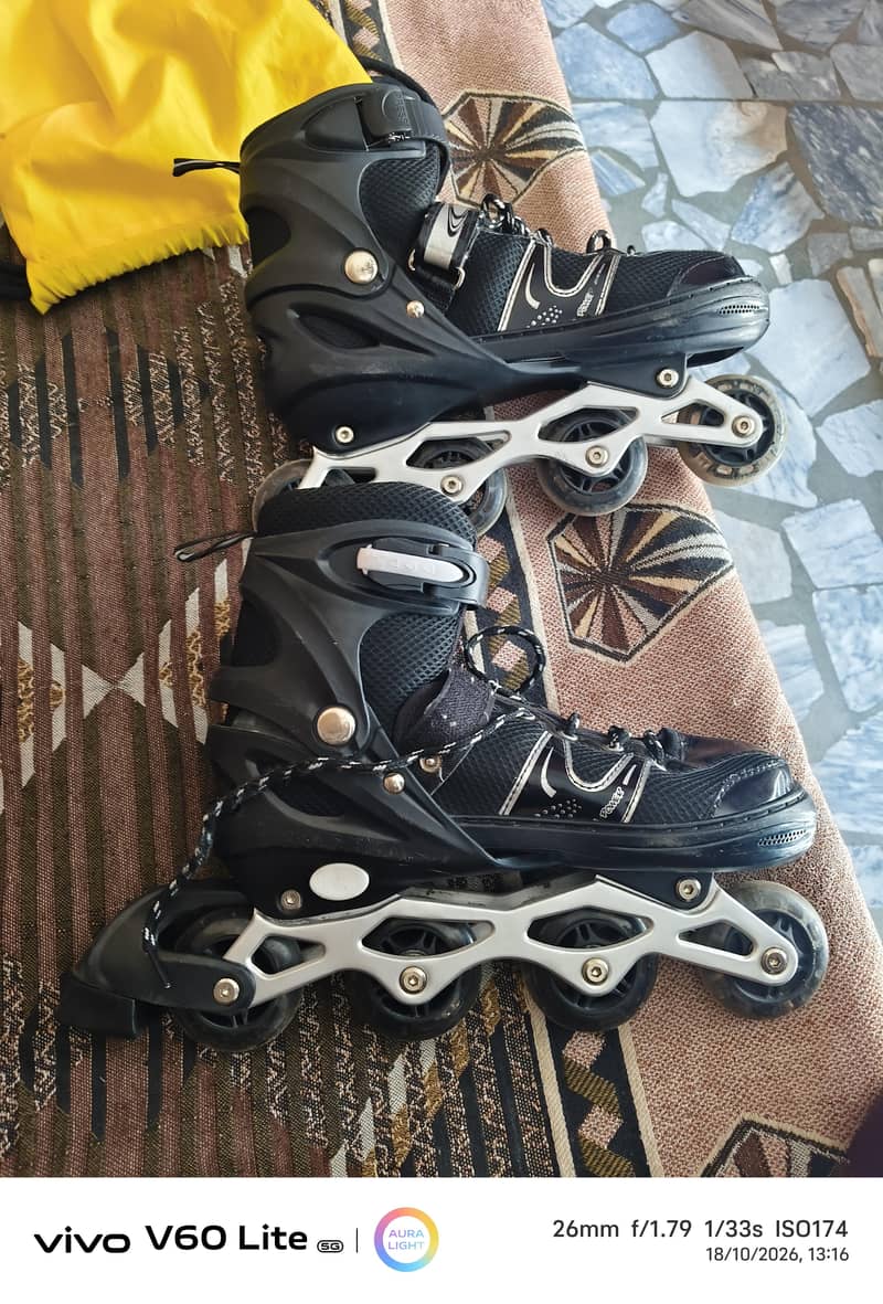 skating shoes 1