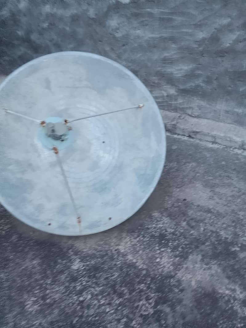 tiger set dish 1