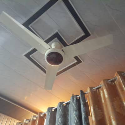 Ceiling fan